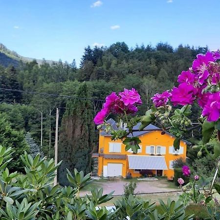 Raon-sur-Plaine Gite Forestier Du Moulin מראה חיצוני תמונה