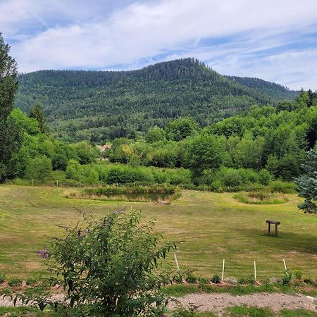 Raon-sur-Plaine Gite Forestier Du Moulin מראה חיצוני תמונה