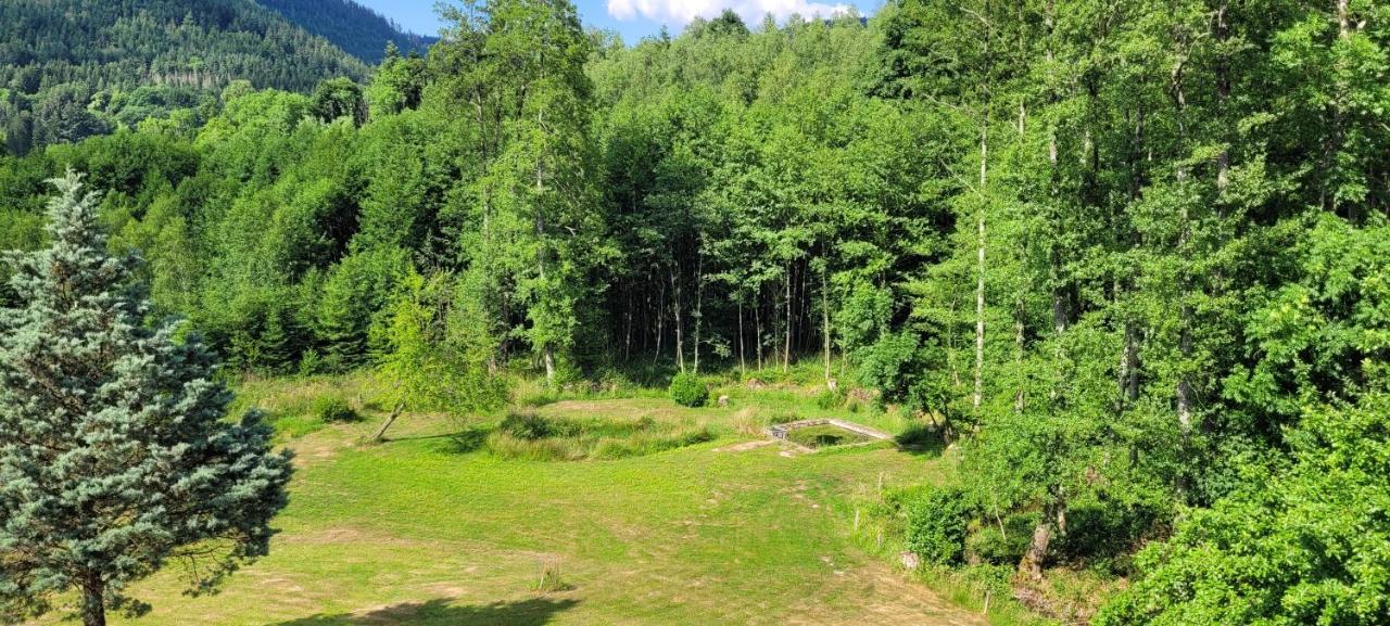 Raon-sur-Plaine Gite Forestier Du Moulin מראה חיצוני תמונה