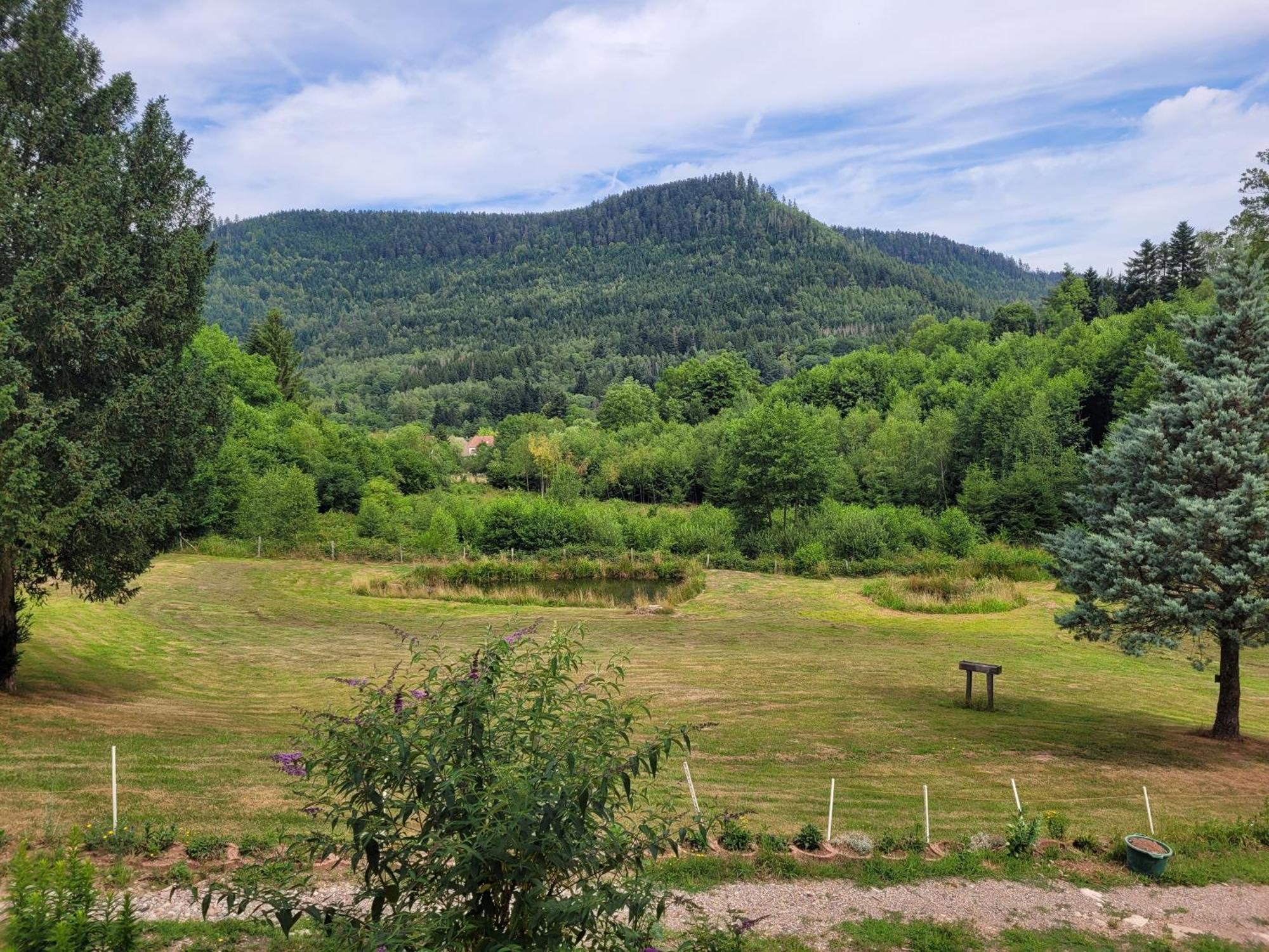 Raon-sur-Plaine Gite Forestier Du Moulin מראה חיצוני תמונה