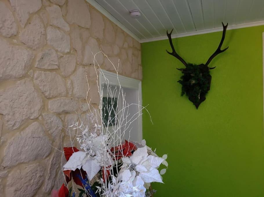 Raon-sur-Plaine Gite Forestier Du Moulin מראה חיצוני תמונה